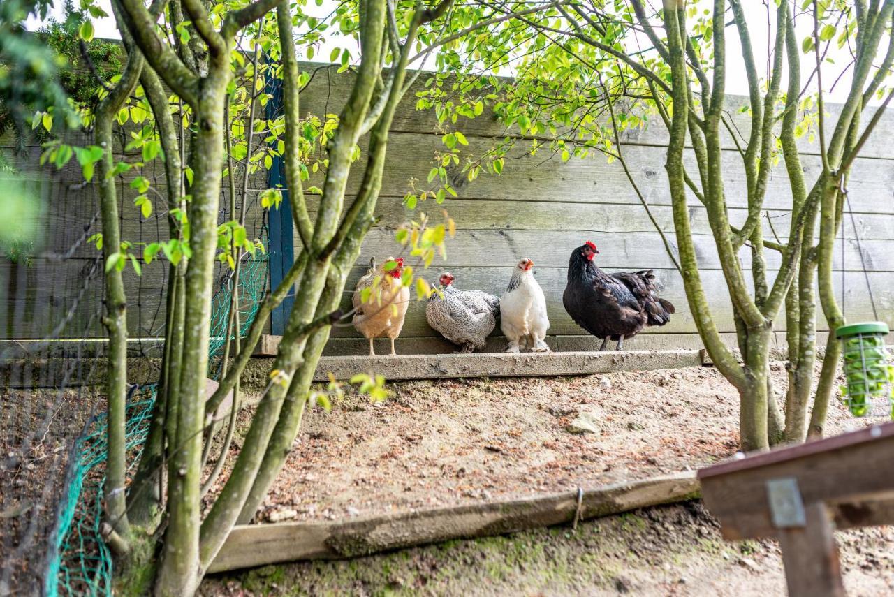 Ferienwohnung Fasse Bühlertal Exteriör bild