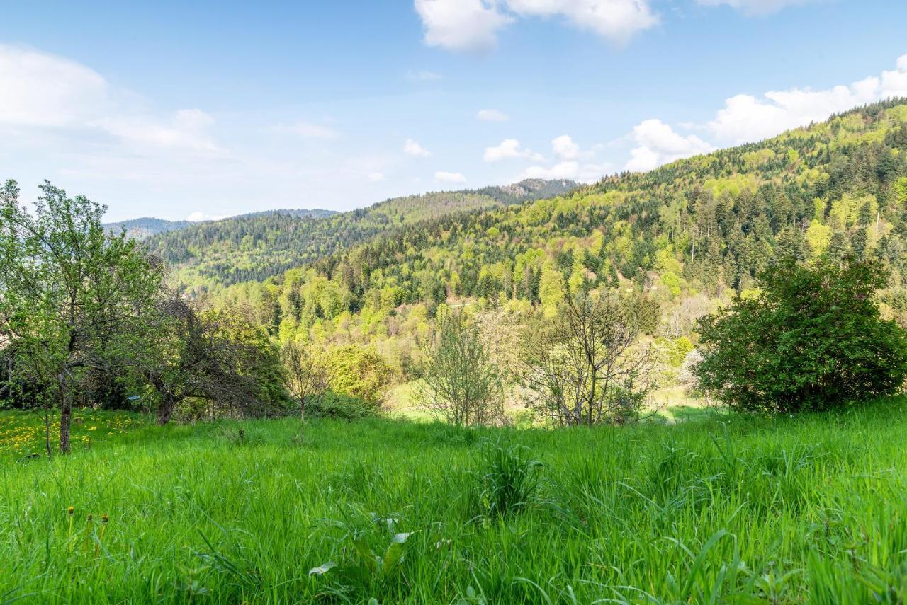 Ferienwohnung Fasse Bühlertal Exteriör bild